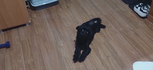 Доброе утро) Кушаем куличик БОЛТАЕМ.