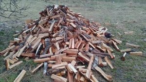 Итоги заготовки дров 👍😃🚩