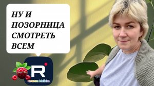 Деревенский дневник _Ну и позорище _Смотреть всем _Обзор _Мать-героиня _Леля Побируха _Быкова