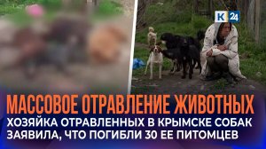 Хозяйка отравленных в Крымске собак заявила, что погибли 30 ее питомцев