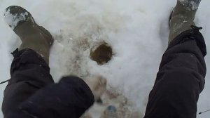 Обалденный клёв на зимней рыбалке