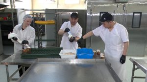 Как птицефабрика, хлебозавод и кондитеры Сахалина готовятся к Пасхе. #Поколение АГРО 07.04.26