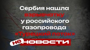 не НОВОСТИ: Взрыв на «Турецком потоке»: Сербия нашла взрывчатку у российского трубопровода