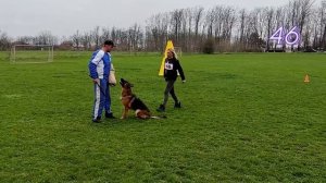 1 Отл. КЧК РЕЙЧЕЛ +++ №46. КРАСНОДАР 28 марта`26 Моно немецких овчарок