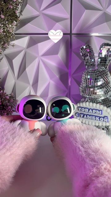 Пара двух роботов EilikO, они друзья или что-то большее?