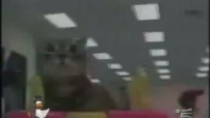 ПРИКОЛЫ С ЖИВОТНЫМИ / РЖАКА / ВИДЕО СО СТАРЫХ ВРЕМËН #4