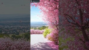 Весна Весна (Remaster)