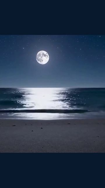 #море #мореПриключений #курорт #природа #отдых #водныеПриключения