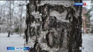 Вести-Томск, выпуск от 07.04.2026 09:30