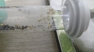 Жизнь муравьёв. 12 серия.