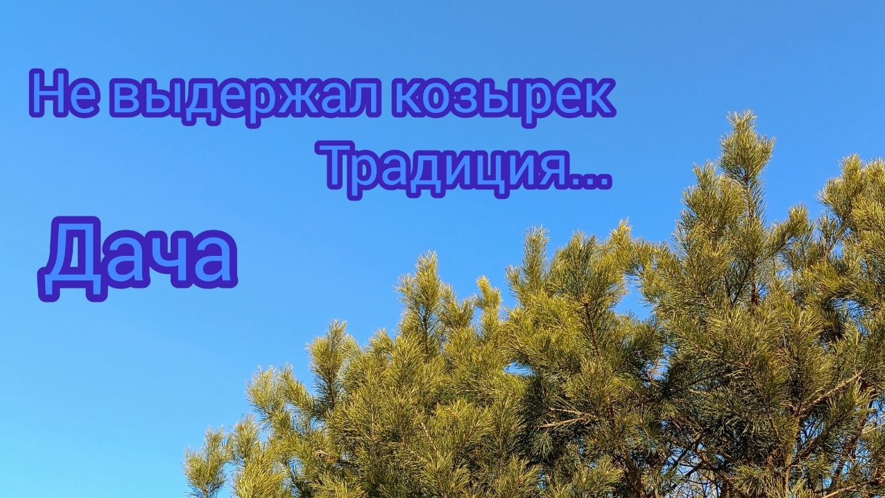 не выдержал козырек традиция дача