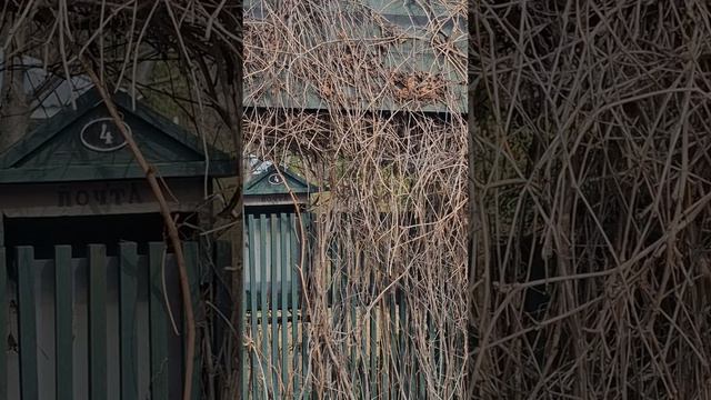 Семейная прогулка в Москву: кафе Кот, пос. Художников, выст. рептилий👨👩👧Таисия в эфире 04.04.