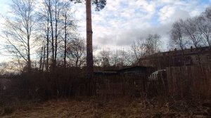 Благовещенские птички и 🥰🐦