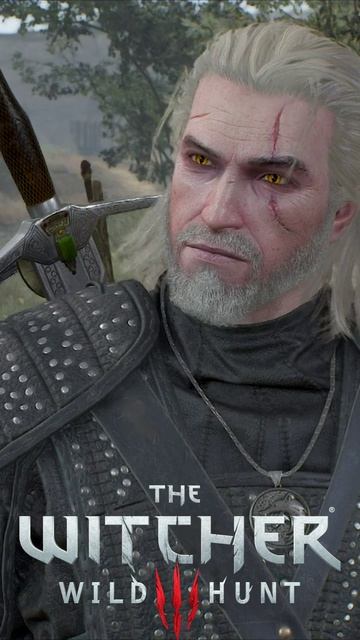 Я знаю, что ты допплер. Геральт разоблачает вора  The Witcher 3 - Wild Hunt