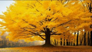 Музыка ласкала осеннюю природу,. (стих в прозе).