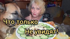 Мукбанг ПОВЕЛА Себя по СВИНСКИ! Уже и до Рук ДОБРАЛИСЬ!