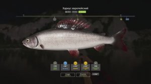 Русская рыбалка 4. Река Белая. Хариус и другие.