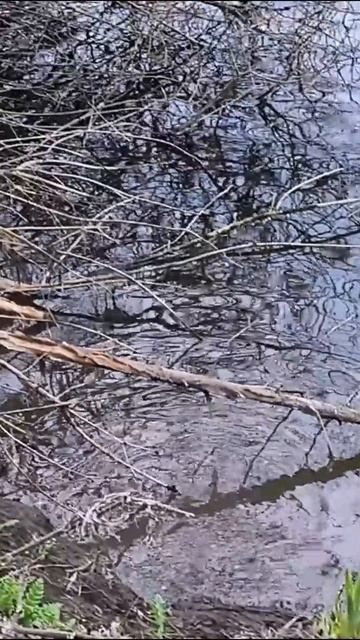 Красивая природа России!