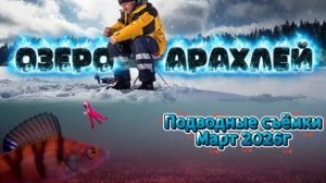 Подводные съёмки оз. Арахлей, март 2026г