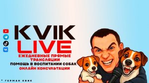 Человек собаке друг! (Герман Квик)