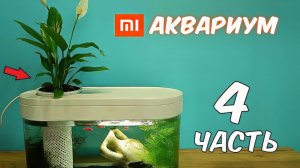 Аквариум XIAOMI. Часть 4. Посадил Цветок. Реакция Муравьев на корм для рыбок