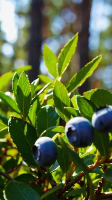 #залипательныйконтент #увлекательныевидео #не_OTRABOTKI #виральныйконтент #видеоискусство #видеораз