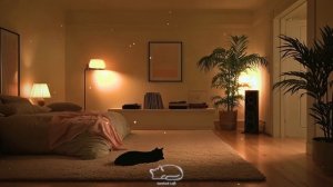 Давайте отдохнем вместе сегодня вечером 🌙🎸 [lofi]