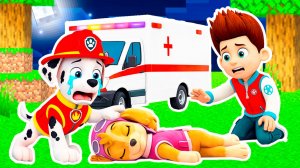 СКАЙ ЗАБОЛЕЛА ЗОМБИ ВИРУСОМ ЩЕНЯЧИЙ ПАТРУЛЬ в МАЙНКРАФТ ЧТО СЛУЧИЛОСЬ с СКАЙ АПОКАЛИПСИС