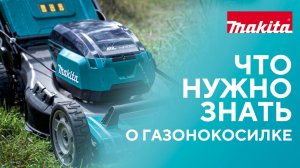 Что нужно знать газонокосилке