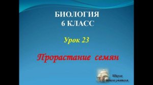 биология 6 класс лекция 23 по теме Прорастание семян