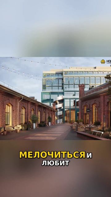 Новые стандарты офисов в Москве  Forma Workplace   Офисный бум в Москве  Коммерческая недвижимость