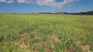 Мне дали 0 шансов выжить Но умерев я УЗНАЛА что рак был не концом а ДАРОМ КЛИНИЧЕСКАЯ СМЕРТЬ