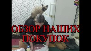 Закупились надолго.