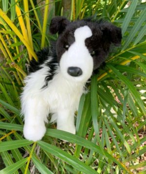 трансляция 🍄