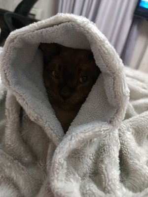 грвм в школу (фоткаемся на альбом)