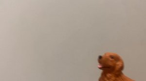 Срочное включение! 🫶🏻