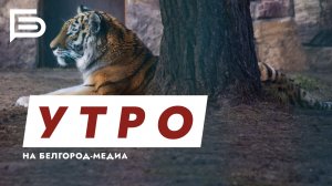 Утро Белгорода