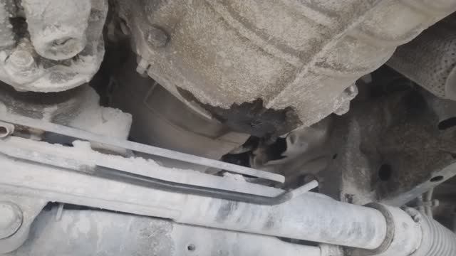 СанЙонг Актион Спорт пропало сцепление, снимаю КПП