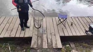 Поимка Форели.Основной водоём