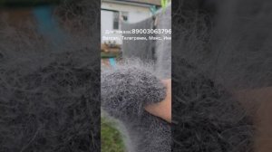 пуховый платок, пуховая шаль, пуховый плед, пуховые изделия, лечебные свойства, подарок