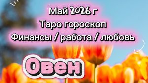 ОВЕН 💕 ваш МАЙ 💕2026! таро прогноз 3 сферы