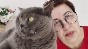 Сходила в ЛЕНТУ/Солим сало/Пеку вафли/Любимые хвостики