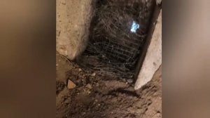 11. Детская радость. Дача. Деревянный пол. Под полом.