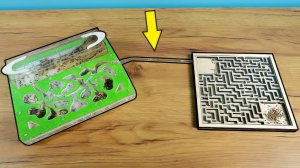 Соединил Фомикарий с Лабиринтом! Такого результата я не ожидал!