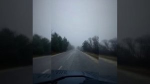 video20260402_202339_075.mp4