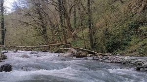 Горная река.mp4