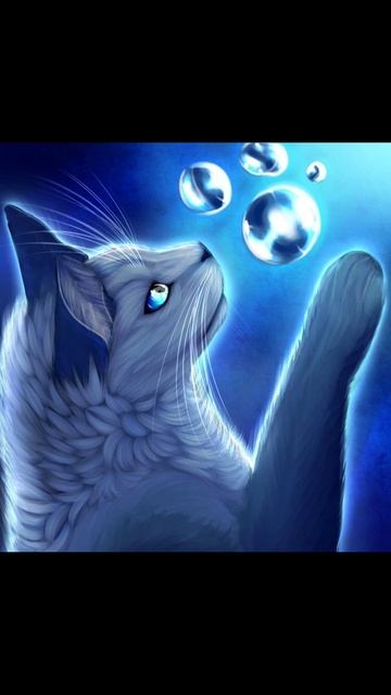 Прикольные обои для подписчиков))