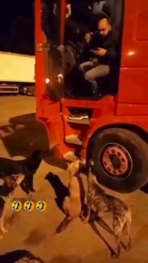 А  с кем вы разговариваете?