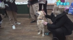 В Центральном Дворце культуры прошел благотворительный концерт в поддержку приюта «Верность».