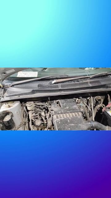 Писк на холостом ходу у Toyota Vitz, и это не подшипник, пугают капиталкой двигателя